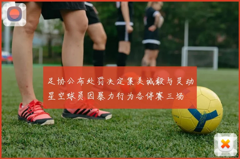 足协公布处罚决定集美诚毅与灵动星空球员因暴力行为各停赛三场