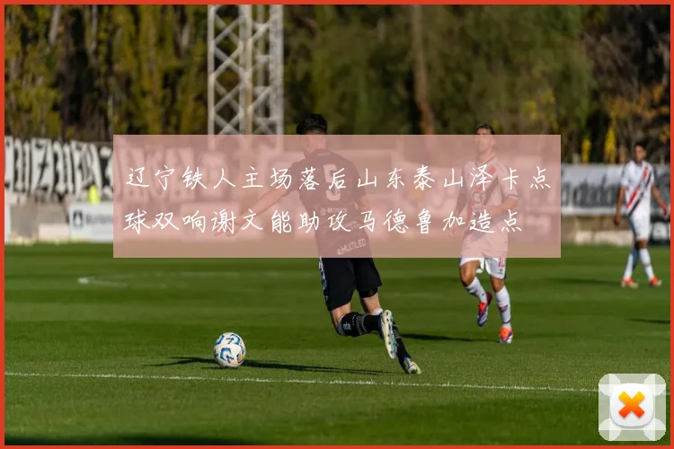 辽宁铁人主场落后山东泰山泽卡点球双响谢文能助攻马德鲁加造点