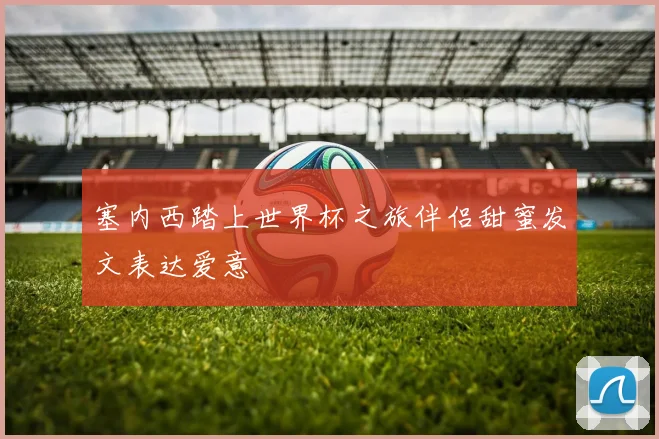 塞内西踏上世界杯之旅伴侣甜蜜发文表达爱意